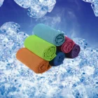 Magic Microfiber Gym Sports Pet Custom Cooling Towel With Logo
