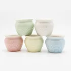 Cactus Fancy Flower Pot/ceramic Succulent Cactus Small Plant Pots Indoor Decor