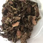 1028 Hong jing tian Top Selling Chinese Herbal Medicine Rhodiola Rosea Root