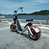 12AH/20AH Lithium battery 12 inch sport Electric scooter motorcycle EEC COC citycoco