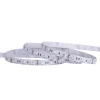 Wholesale Low price 5m per Roll 10mm 60 leds/m DC 12V 24V SMD 5050 RGB Flexible LED Strip