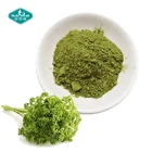 100% Natural Vegetable Powder Freeze Dried Parsley Powder