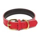 Basic Classic Padded Leather Pet Collars for Cats Puppy Small Medium Dogs