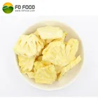LUJIA FDFOOD brand 5-7mm/slice freeze dried fruit bulk packing 10kg freeze dried pineapple