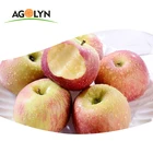 AGOLYN Fresh Fruit Sweet Juicy Royal Gala Apple