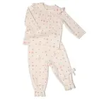 Baby Clothes 2020 Clothing Kid Baby Girl Set Clothes Long Sleeve Baby Clothes Factory Price
