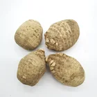 Crude Export Dried Crude Medicine Whole Rhizoma Alismatis For Export