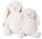 Children's Gifts Toys Chinese Manufacturer Exclusively For Children's Gifts Plush Rabbit Plush Toys