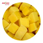 IQF Frozen Mango Diced Fruit Price