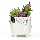Ceramic Plant Pot Best Selling 3d Animal Instagram Ceramic Mini Succulent Plant Pot Customized