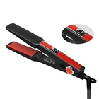 2 in 1 Titanium Wet and Dry Nano Ceramic Coating Brand Names of flat iron Hair Straightener