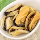 Whole Good Price Best Quality Frozen Mussels