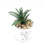 Metal Frame Rack Indoor Stand Price Flower Pot In Bulk