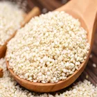 Natural hulled skin 99.9% white sesame seeds price for bake
