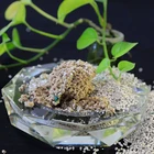 Cat Litter Manufacturer Cat Litter Suppliers Cat Litter Natural
