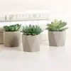 /product-detail/set-of-3-artificial-succulent-in-cement-geometric-planter-artificial-ornamental-plants-62259449596.html