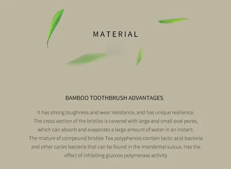 3_03.jpg OF Reusable Biodegradable Environmentally Friendly Soft Brush Bamboo Toothbrush  