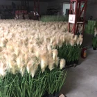 Plants Decor Plant Kosy Artificial Reed Fake Green Bushes Potted Home Decor Indoor Wholesale Artificial Plants