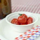 Factory wholesaler Disposable Biodegradable sugarcane disposable plates