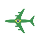 China to Brazil International Air/International Express/Small Parcel Transportation