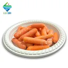 Disposable Plates Disposable Plate Plant Fiber Dinnerware 5.1in Round Disposable Plates