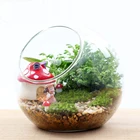 decorative handblown glass round globe terrarium with flat bottom