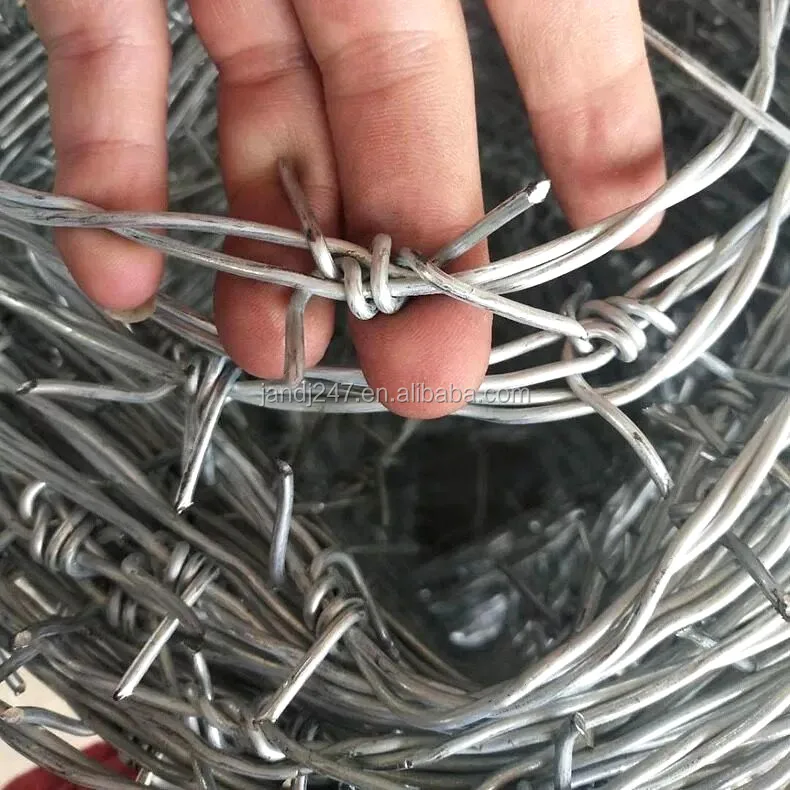 002  barbed wire.jpg