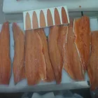 frozen pink salmon fish fillet skin