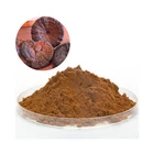 100% Natural Red Ganoderma Lucidum Reishi Mushroom Extract Powder