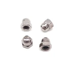 Steel SS304 SS316 A2 A4 small hexagon cap nut acorn nut