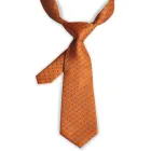 Silk Tie Tie Tie Manufacturer Direct Sales Orange Custom Logo Unisex Fashion Print 100% Silk Tie