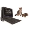 /product-detail/am-vet11-laptop-veterinary-color-doppler-ultrasonic-scanner-15-inch-led-screen-portable-cow-ultrasound-probe-scanner-used-for-62313408025.html