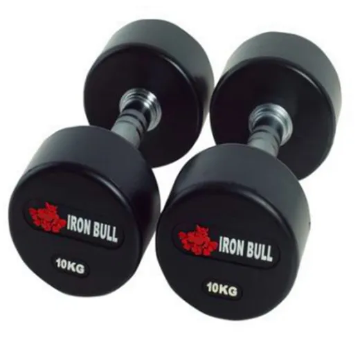 2022 new arrival Commercial free weight Fitness Accessories/Gym accessories ASJ-P011 Dumbbell