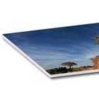 Hot Sales Printing PVC foam board Signs/Custom UV printing 1mm/3mm PVC board