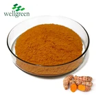 Free Sample Fresh Turmeric Root Extract 95% Bulk Curcumin Powder