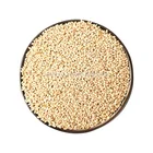 Non-GMO good taste white sesame price roasted wholesale sesame seeds