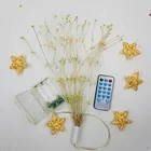 Battery Christmas Home Decoration copper wire Fireworks Starburst Led String Light