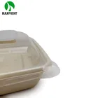 3 compartment biodegradable paper pulp food packaging box container
