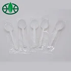 Wholesale Ice Cream Small Design Color Changing White Bulk Plastic 100% biodegradable Spoon 6 inch cPLA