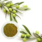 Anti-Aging Olive Leaf Extract 20% Oleuropein Powder