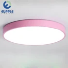Rustic 2019 Hot sales factory price 24w Round ceiling led light modern for house