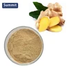 /product-detail/food-grade-ginger-root-extract-gingerol-powder-60815819599.html