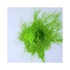 Road Coating Super Road Fence Anti-corrosion Polyester Weather Resistant Powder Coating