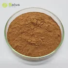 Reishi Mushroom Extract Top Quality Organic Powder
