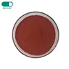 BIOSKY CAS 502-65-8 Tomato Extract 99% Lycopene Powder