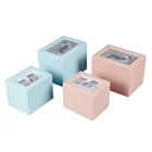 High Quality Custom Eco - friendly Pink Paint Exquisite Cremation Human Pet Ashes Urn With Acrylic Cover