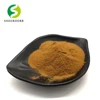/product-detail/xanthohumol-powder-hops-extract-total-flavonoids-10-create-beer-aroma-foam-best-price-beer-hops-60750071479.html