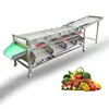 /product-detail/commercial-fruit-and-vegetable-grader-sorting-grading-machine-line-for-sale-62326783427.html