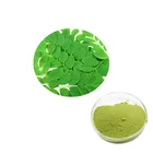 Moringa EP USP Moringa Extract Moringa Leaf Powder