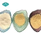 Drum Bulk Fruit Bulk Supply Mogroside V 20%~60% Certified Organic Monk Fruit